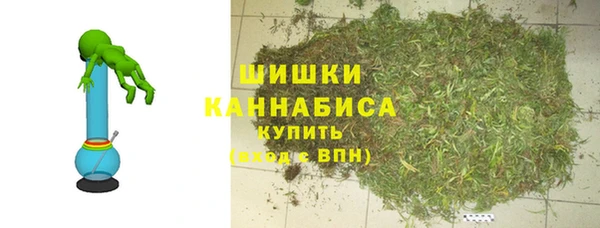 хмурый Абаза