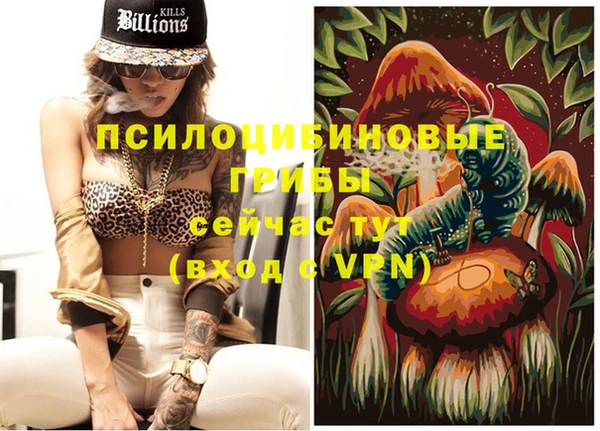 ПСИЛОЦИБИНОВЫЕ ГРИБЫ Алзамай
