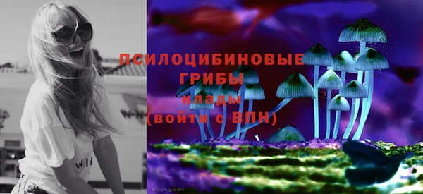 прущие крисы Надым