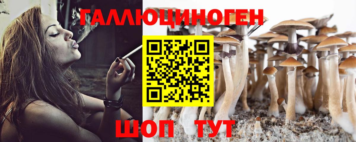 Псилоцибиновые грибы MAGIC MUSHROOMS Топки