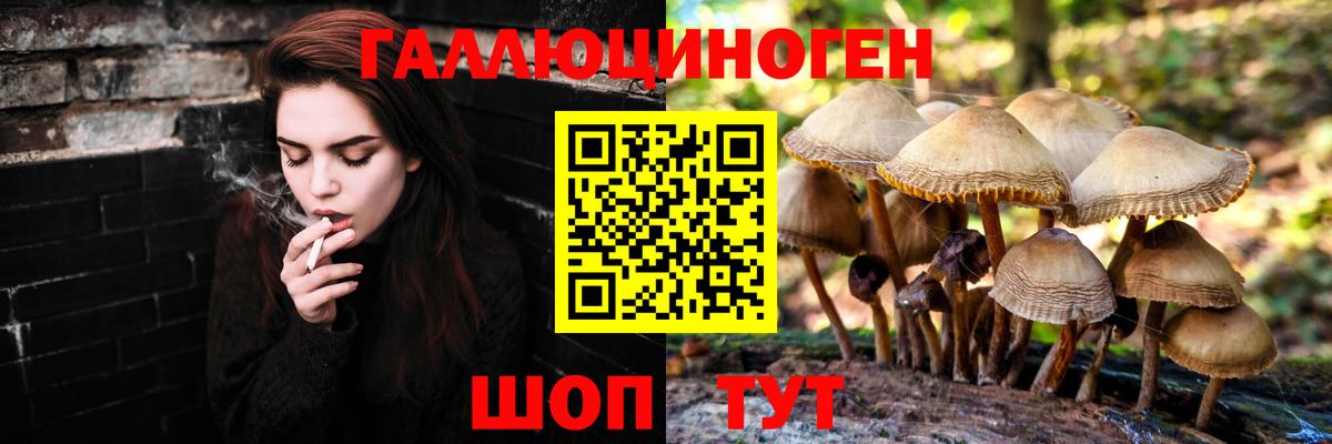 Галлюциногенные грибы мухоморы  Псилоцибиновые грибы мухоморы  наркота  Вход с VPN  Топки 